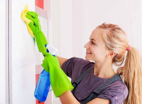 Cleaner Kentishtown professional cleaning team introduction