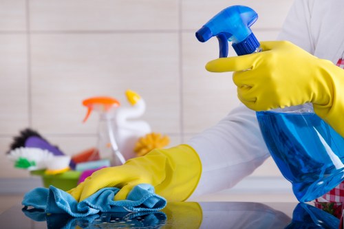 Professional move in cleaning for a Kentishtown home before unpacking