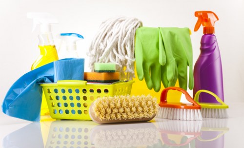 Professional carpet cleaning in a Kentishtown home living room