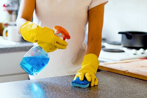 Professional stain removal for carpets and upholstery in Kentishtown homes