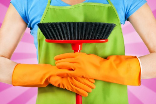 Mission and values of Cleaner Kentishtown service
