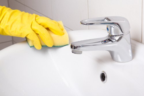 Local gutter cleaning work for terraced and mixed-use properties in Kentishtown