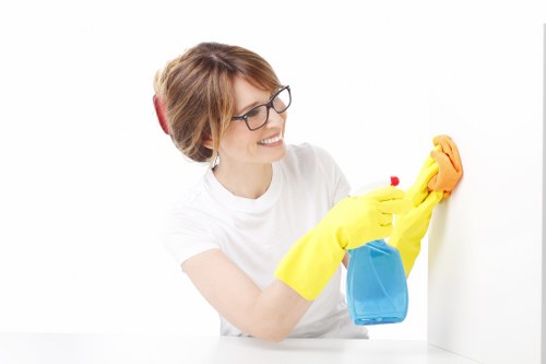 Deep carpet cleaning equipment used in a Kentishtown property
