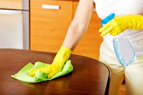 Kitchen appliance cleaning service for Kentishtown homes and businesses